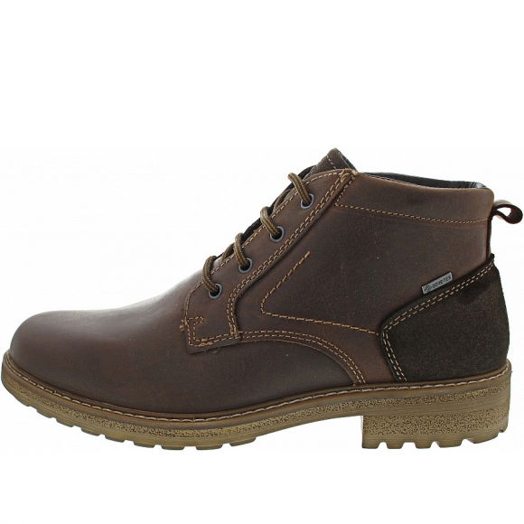 Ara Frederik-GTX Schnürstiefel in marrone-caffee