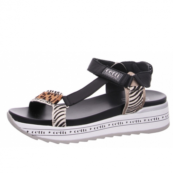 Cetti Sandalette in zebra leo multi Cetti Sandalette in zebra leo multi