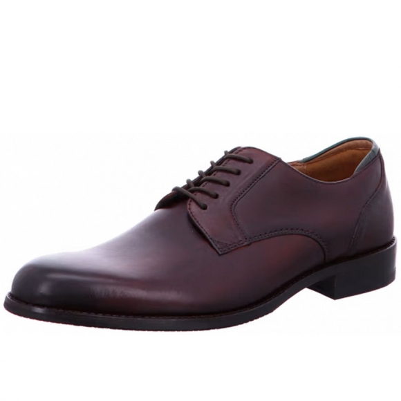 Clarks in Braun