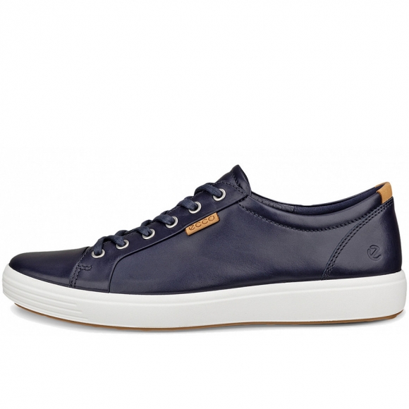 ECCO in night sky