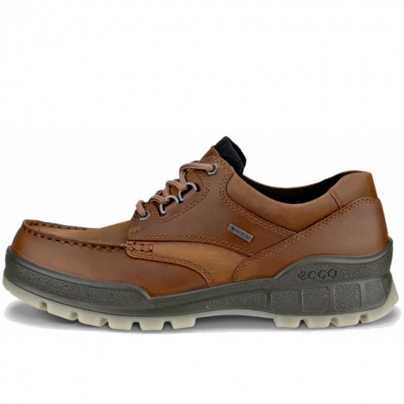 ECCO in bison