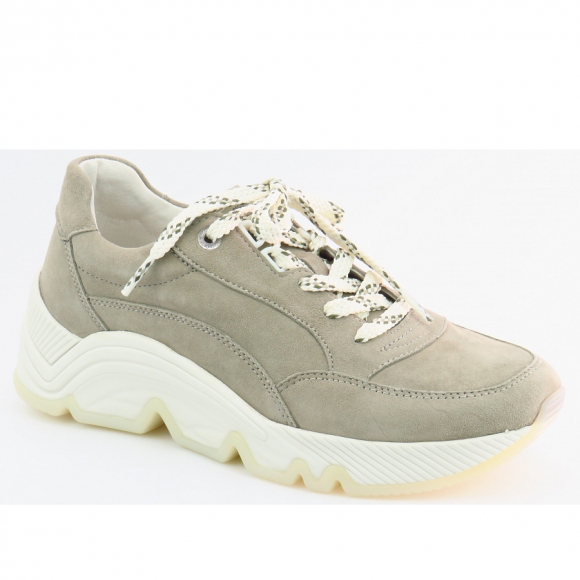 Gabor Samtchevreau schilf Sneaker in schilf