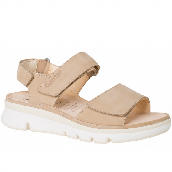 Ganter in lighttoffee Ganter in lighttoffee