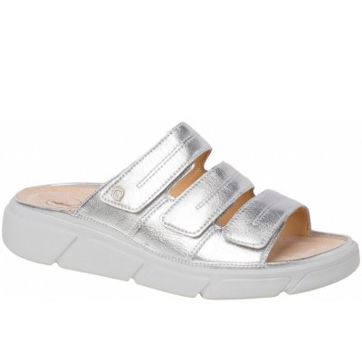 Ganter in silver