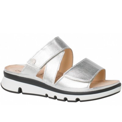 Ganter in silver