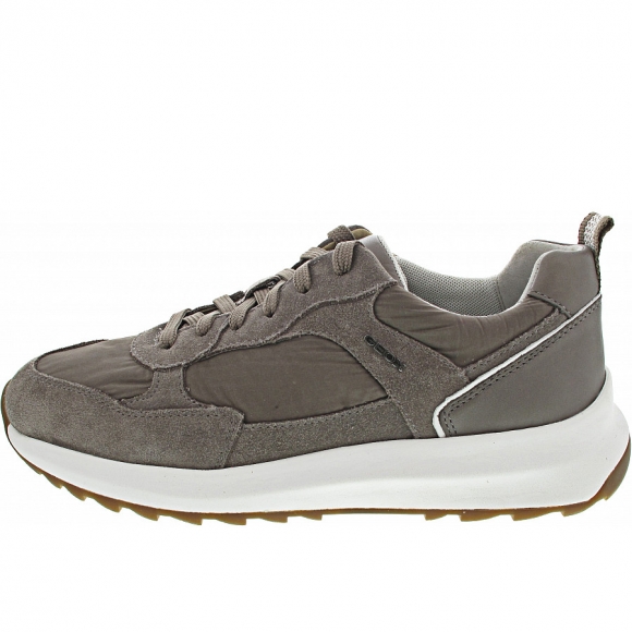 Geox Titanio A Sneaker low in dove grey