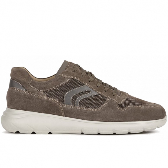 Geox Schnürer in dove grey