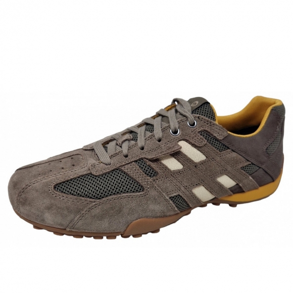 Geox Casual Sport sportlicher Schnürer in dove grey/lt. taupe