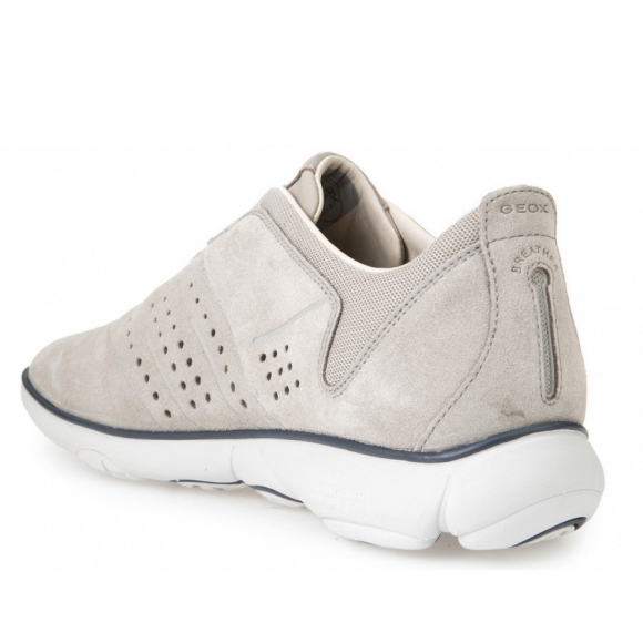 Geox U NEBULA A - SUEDE Sportliche Schnürer in ROCK