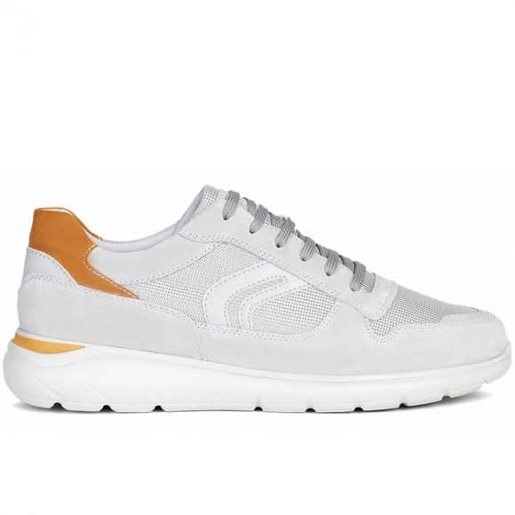 Geox Sneaker in light grey