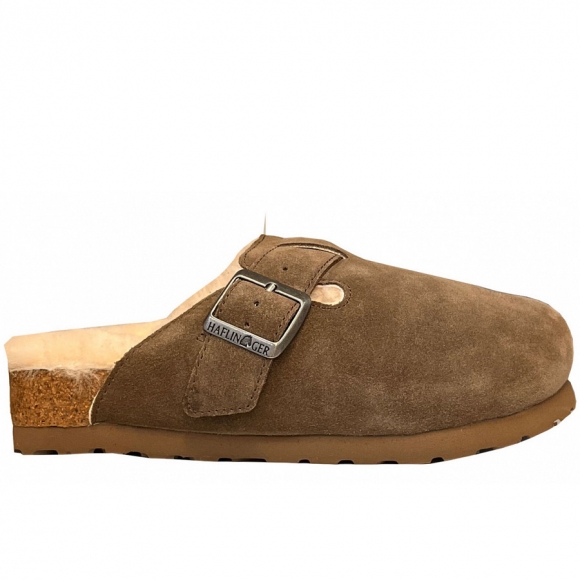Haflinger in shitake Haflinger in shitake