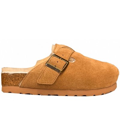 Haflinger in chestnut Haflinger in chestnut