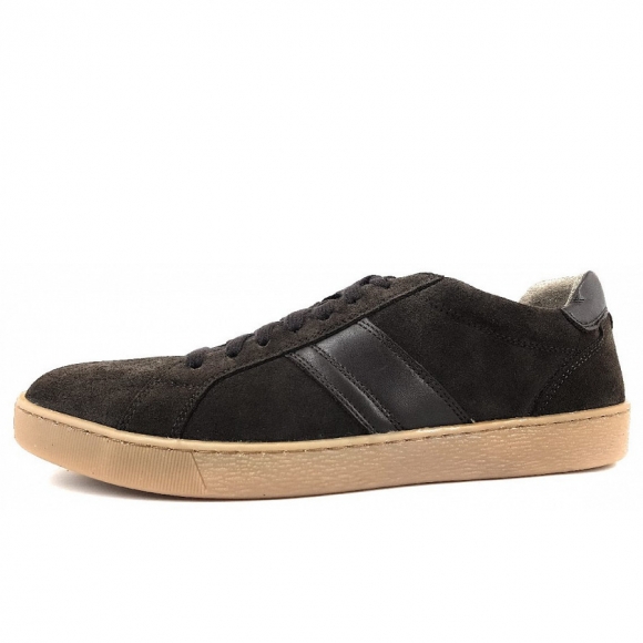 Pius Gabor Sneaker low in ebony/ mocca