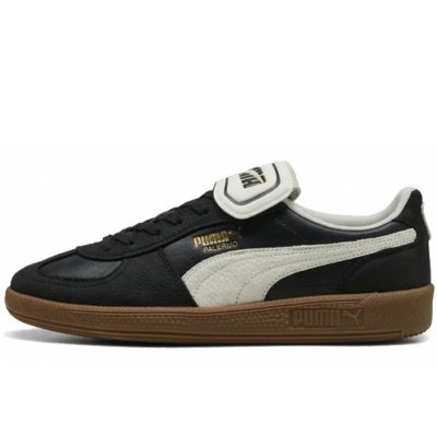 Puma in Schwarz