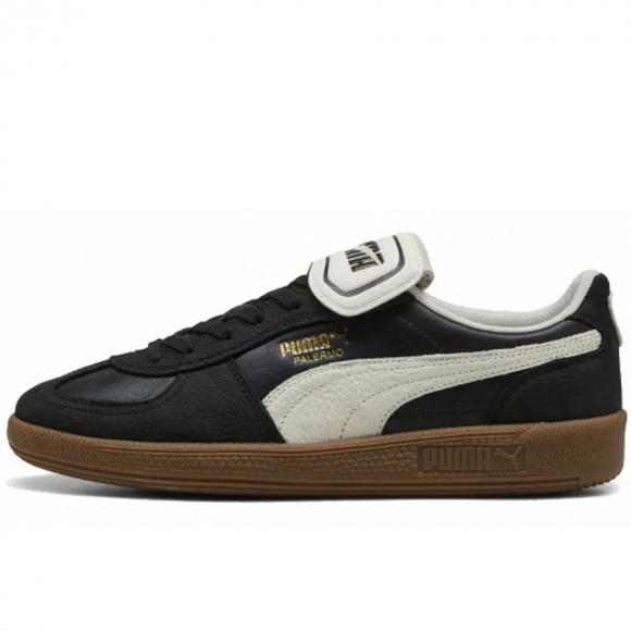 Puma in Schwarz