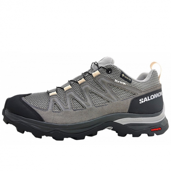 Salomon X Ward GTX Wanderschuh in gull/black