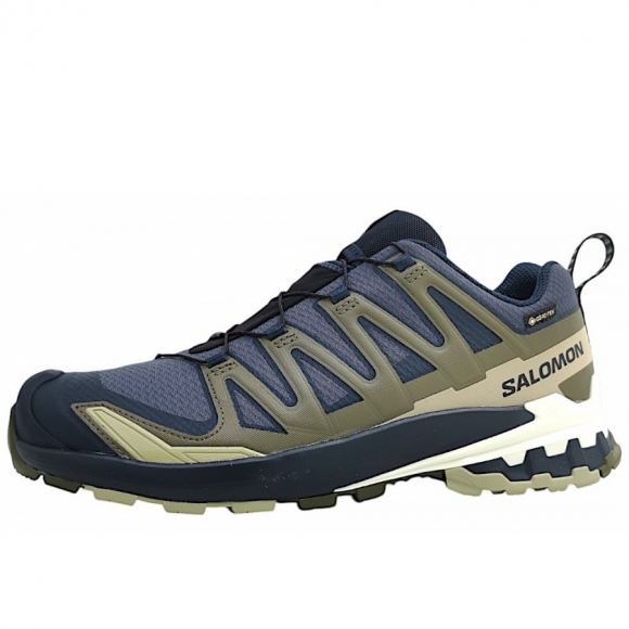 Salomon XA Pro 3D GTX Wanderschuh in Indink