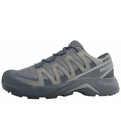 Salomon X-Adventure Recon GTX Wanderschuh in asphalt/black