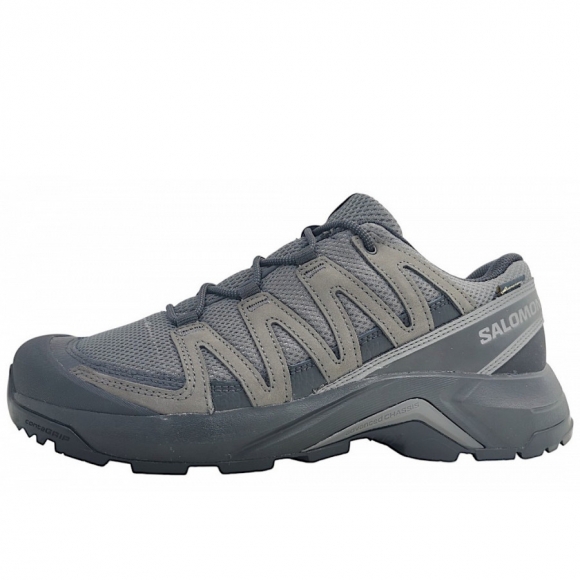 Salomon X-Adventure Recon GTX Wanderschuh in asphalt/black