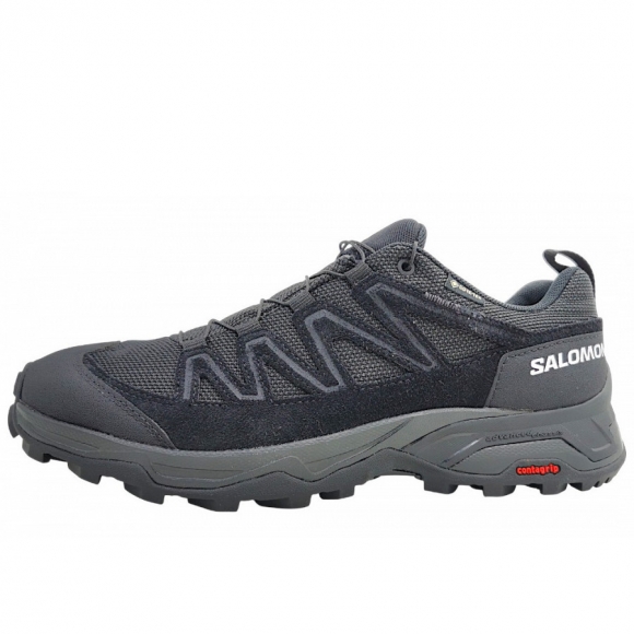 Salomon XWard GTX Wanderschuh in black/black
