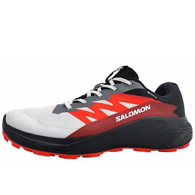 Salomon Alphaglide GTX Schnürer in lunroc/black Salomon Alphaglide GTX Schnürer in lunroc/black