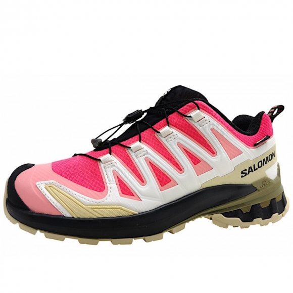 Salomon XA Pro 3D V9 GTX Wanderschuh in rouge/vanila
