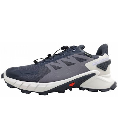 Salomon Supercross 4 GTX W 9 Hikingschuh in Iron/LunRoc