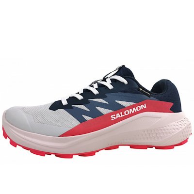 Salomon Alphaglide GTX Wanderschuh in lunroc/blue night Salomon Alphaglide GTX Wanderschuh in lunroc/blue night