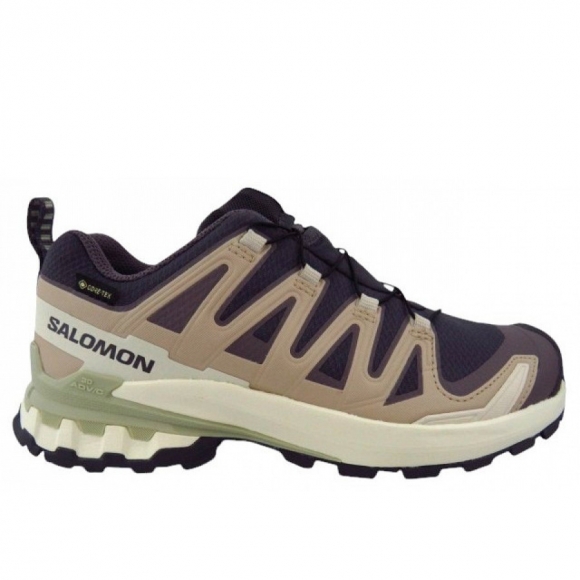 Salomon XA PRO 3D V9 GTX Women Wanderschuh in violett beige