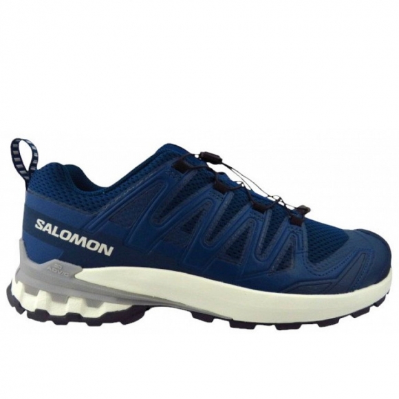 Salomon XA PRO 3D V9 Wanderschuh in alloy