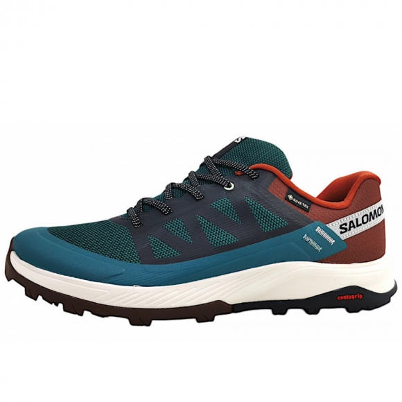 Salomon Outrise GTX Wanderschuh in ponderosa pine/bitter cho