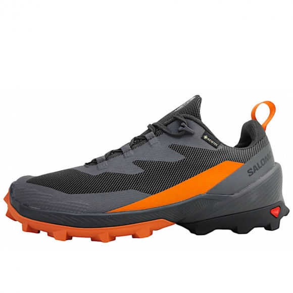 Salomon Cross Over 2 GTX Wanderschuh in magnet/phantom/spice