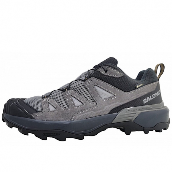 Salomon Ultra 360 GTX Wanderschuh in grau