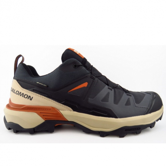 Salomon X Ultra 360 GTX Wanderschuh in grau kombi