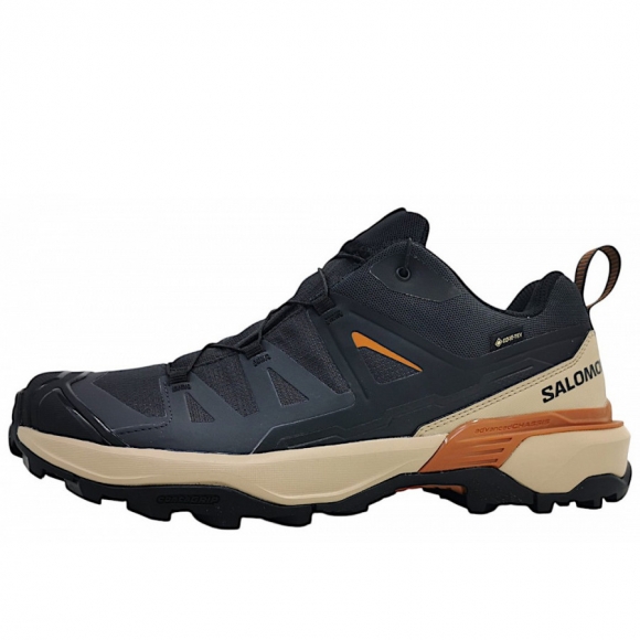 Salomon X Ultra 360 GTX Wanderschuh in Phantom/Sfari/Cara