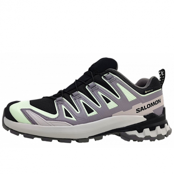 Salomon XA Pro 3D V9 GTX W Wanderschuh in Black/Pating