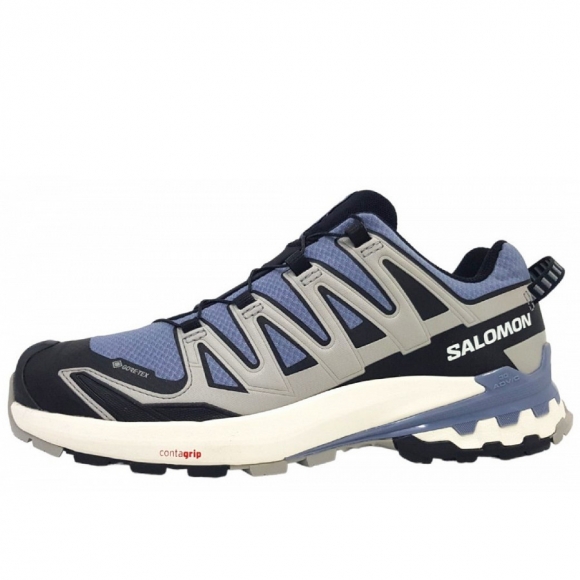 Salomon XA Pro 3D V9 GTX Wanderschuh in Flint Black Grgeck
