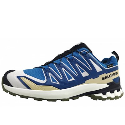 Salomon XA Pro 3D V9 GTX Wanderschuh in dk. blue/icicle