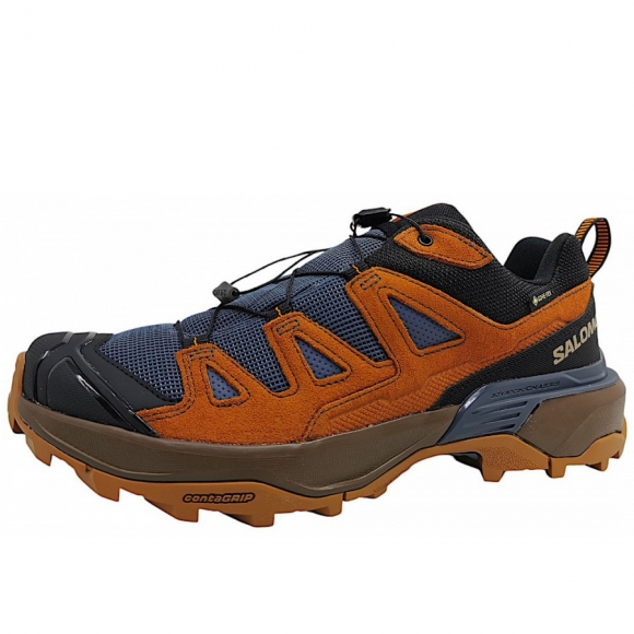 Salomon X Ultra 360 GTX Wanderschuh in grisal/ caramel