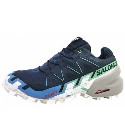 Salomon Speedcross GTX Wanderschuh in Carbon/ Provence/ White