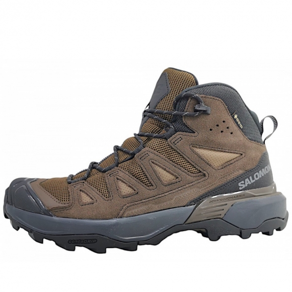 Salomon X Ultra 360 GTX Wanderstiefel in brown