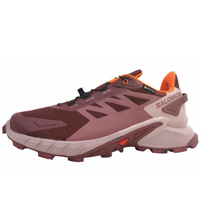 Salomon Supercross 4 GTX Wanderschuh in Tawnyp