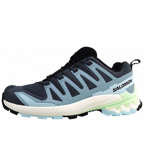 Salomon XA Pro 3D V9 Wanderschuh in turbul/iced/pati