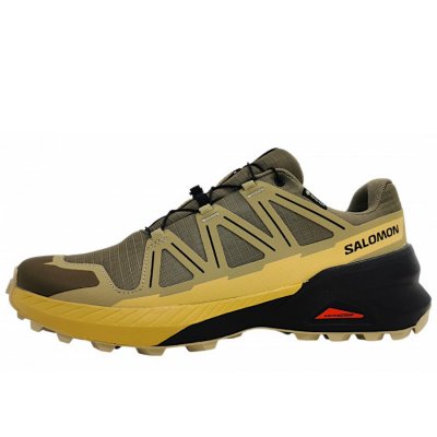 Salomon Speedcross Peak GTX Wanderschuh in Stoneg/Gray