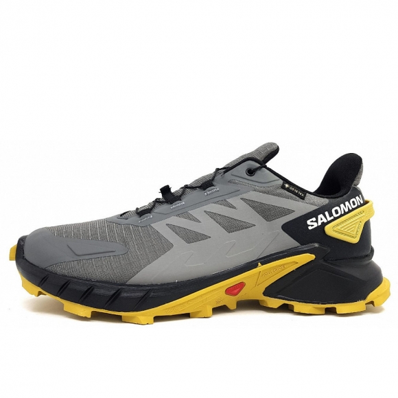 Salomon Supercross 4 GTX M Wanderschuh in pewter/black/cress green