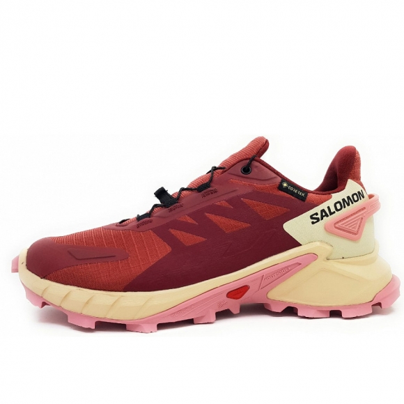 Salomon Supercross 4 GTX W Wanderschuh in cow hide/ syrah blush