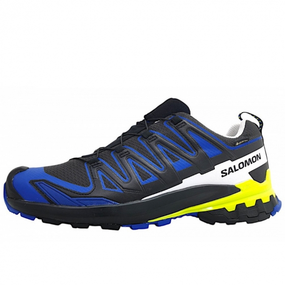 Salomon XA Pro 3D GTX Wanderschuh in Black Surf