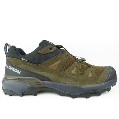 Salomon X Ultra 360 LTR GTX Wanderschuh in braun