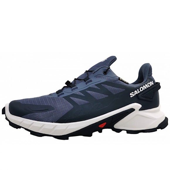 Salomon Supercross 4 GTX Wanderschuh in Grisai White