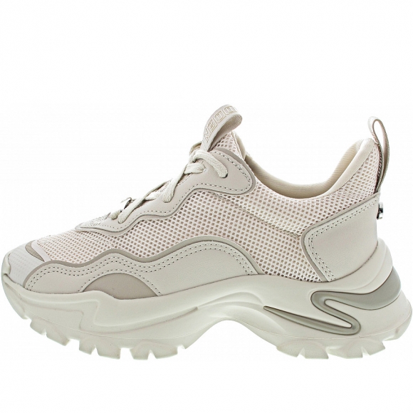 Steve Madden Manerva Sneaker in latte